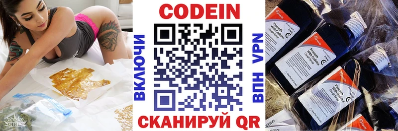 KRAKEN зеркало  Ленинградская  Кодеин Purple Drank  где продают наркотики 