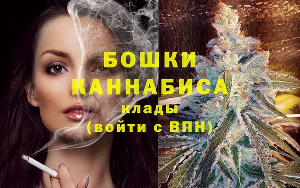 PSILOCYBIN Баксан