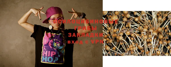 PSILOCYBIN Баксан